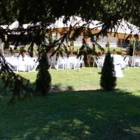 Nuntă în natură sub un cort african închiriat