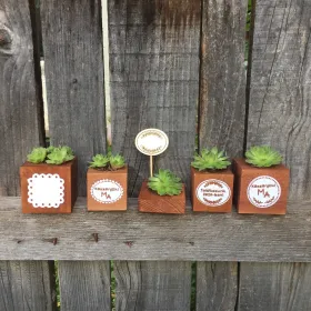 Nuntă verde, mărturii DIY cu plante în cuburi de lemn