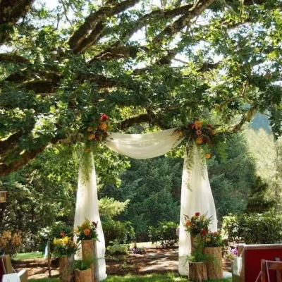Decor pentru o ceremonie de nuntă în aer liber, în Transilvania, cu perdele albe elegante atașate de un copac bătrân și compoziții florale simple așezate pe butuci de lemn.