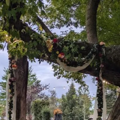 Pom decorat pentru ceremonie umanistă în aer liber, cetate Târgu Mureș